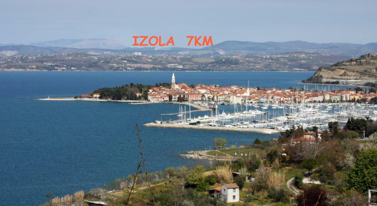 Yellow Submarine Lucija Exterior photo